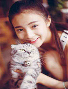 《sd敢达三国传第二部-87福利网》