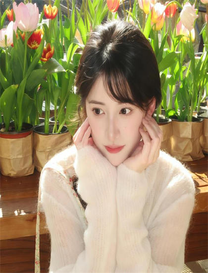 口碑佳作：2026暑期档《顿悟之白骨美人心》：市场表现分析